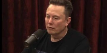 马斯克，最新预言！