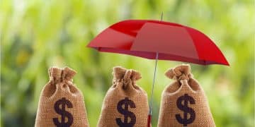 期权工具助力鸡蛋企业管理价格风险