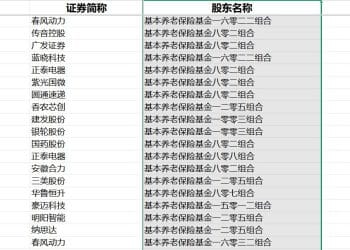 透视2025年三季报养老基金持仓：青睐龙头，春风动力成第一重仓股