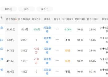 葛卫东最新持仓拆解：科技追「新」，消费守「旧」