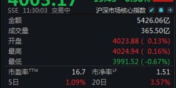 A股震荡走低，沪指半日下跌0.38%
