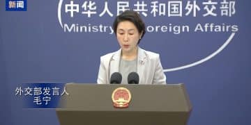 外交部最新发声！对瑞典免签，延长对法国等国免签！恢复赴加拿大团队游业务