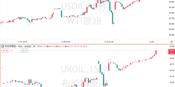 欧佩克+确认维持明年Q1石油产量不变，美、布两油双双涨超2%
