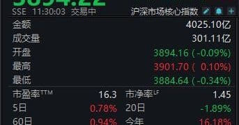 A股维持震荡，沪指半日微跌0.09%