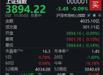 A股维持震荡，沪指半日微跌0.09%