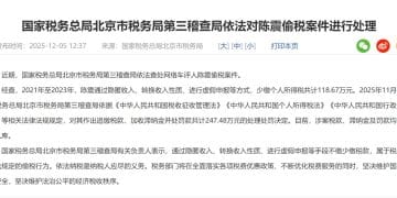 网络车评人陈震偷税被查，处理处罚共计247.48万元！各平台账号已被禁言或封禁