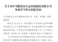重组信披违规+券商核查疏漏，节能铁汉与国泰海通双双被罚，投行合规警钟再鸣