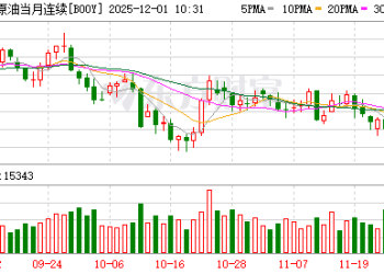 石油供应过剩担忧愈演愈烈 OPEC+确认明年一季度暂停增产