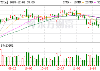 「大空头」再度开火 称特斯拉市值被「荒谬地高估」