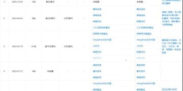 月之暗面，不想下牌桌