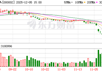 流动性危机下的艰难抉择 万科又一笔债券寻求展期