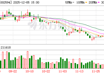 王传福：比亚迪是龙头老大 可以被别人欺负一下 但不能欺负别人