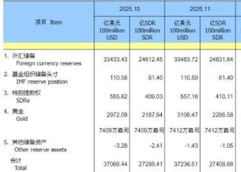 11月外汇储备增加30亿美元 黄金储备连增13个月