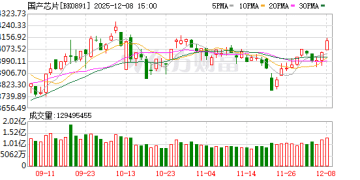 【风口研报】全球巨头加速竞争AI芯片领域   国产芯片或迎来广阔市场空间