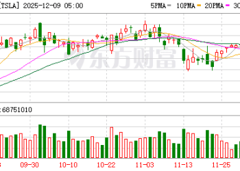 摩根士丹利下调特斯拉评级：利好已反映在股价中
