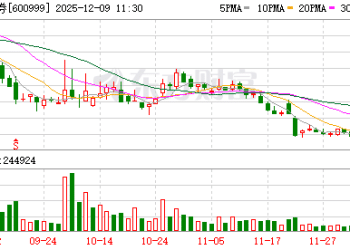 招证国际拟向其全资子公司分次增资不超90亿港元 国际业务成头部券商业绩新引擎