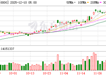 突发！黑天鹅突袭AI巨头！欧盟对谷歌展开反垄断调查 Meta也被调查