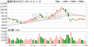 深夜突发！财务造假 两家A股公司将被ST