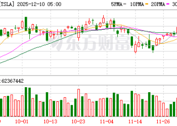 Optimus机器人量产 特斯拉的最后信仰
