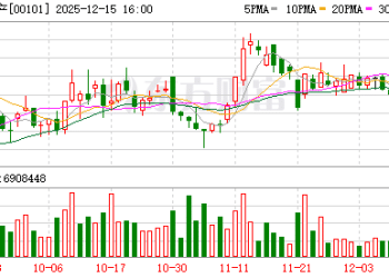 恒隆地产拿下上海梅龙镇20年租约 持续轻资产扩张