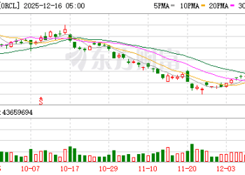 摩根大通敲警钟：甲骨文激进扩张需「拿成绩说话」