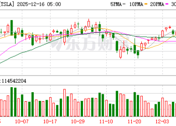 马斯克要赢麻了？投行喊出特斯拉市值明年底或冲3万亿美元