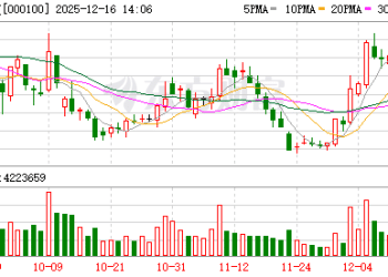 115亿元后再加60亿元！TCL科技「加仓」半导体