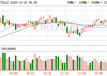 分析师警告：特斯拉股价高度押注自动驾驶 汽车业务仅值每股30美元
