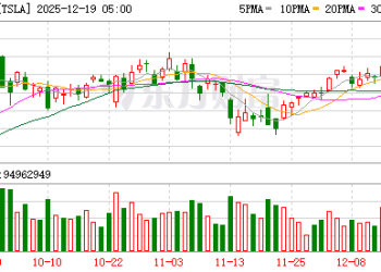SpaceX上市在即 特斯拉还能承载多少「马斯克溢价」？