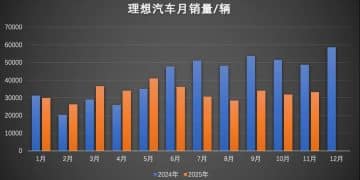 增长神话暂停，理想「尖子生」光环失效？