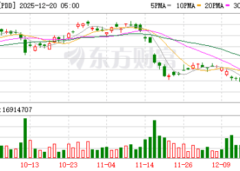 拼多多年度股东大会：Temu 3年走完拼多多国内10年路 两者体量已接近？