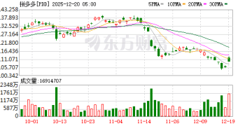 拼多多年度股东大会：Temu 3年走完拼多多国内10年路 两者体量已接近？