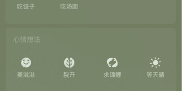 微信上线冬至限定状态：吃饺子和吃汤圆，你选哪一个？