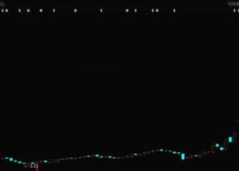 追觅越来越像乐视