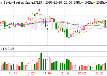 Palantir的信仰之战：华尔街算估值 散户狂买押起飞