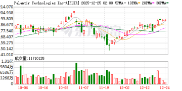 Palantir的信仰之战：华尔街算估值 散户狂买押起飞