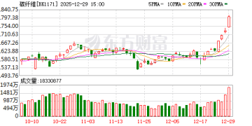 涨价在即！碳纤维概念多股涨停 融资客最新抢筹这些股