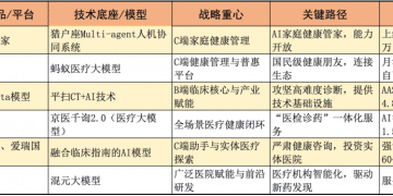 从工具到伙伴：2025年大厂AI医疗健康服务的路径分化