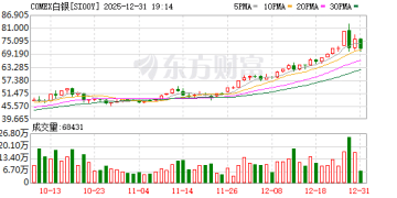 无惧金属年末震荡？专家：全球正掀起资源争夺大战 银价仍太便宜！