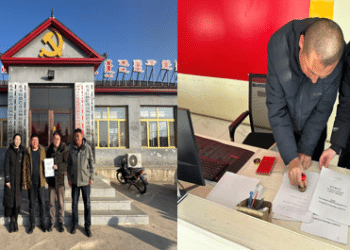 交子期货2025年大商所生物育种项目顺利结束