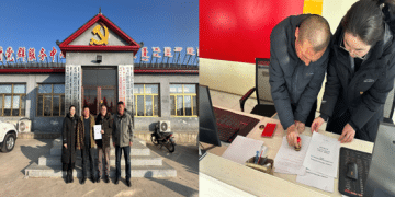 交子期货2025年大商所生物育种项目顺利结束