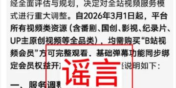 不再提供免费视频、充会员才可发弹幕？哔哩哔哩：谣言，已报警