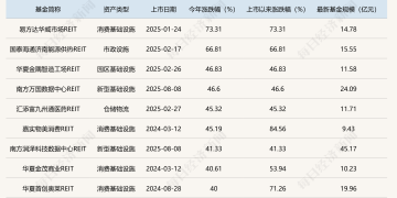 复盘2025！公募REITs震荡中突显韧性，2026年配置瞄准景气赛道与超跌机会