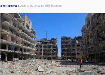 土耳其、沙特、卡塔尔、约旦、阿联酋、印度尼西亚、巴基斯坦和埃及八国外长发表联合声明！