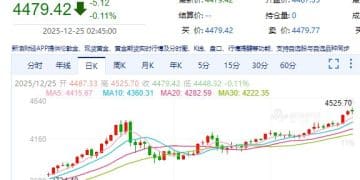 国投白银LOF开盘跌10% 触及跌停，有投资者买基金获利3万元离场：12月份涨幅太疯狂了！