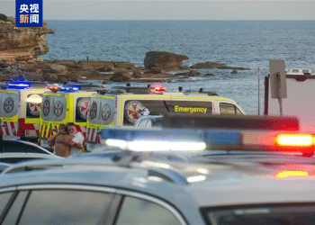 澳大利亚海滩枪击事件两名枪手为父子关系，父亲50岁，儿子24岁！一名路人冒险夺枪反击，身中两弹，需接受手术