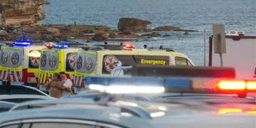 澳大利亚海滩枪击事件两名枪手为父子关系，父亲50岁，儿子24岁！一名路人冒险夺枪反击，身中两弹，需接受手术