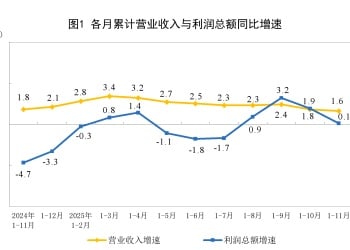 国家统计局：1—11月份全国规模以上工业企业利润增长0.1%