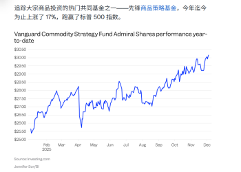 美银展望2026年「最佳热门交易」：大宗牛市将继续！