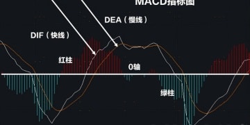 什么是MACD？揭开技术分析的神秘面纱